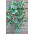 Штучний плющ ліана, 68 см