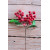 Червоний